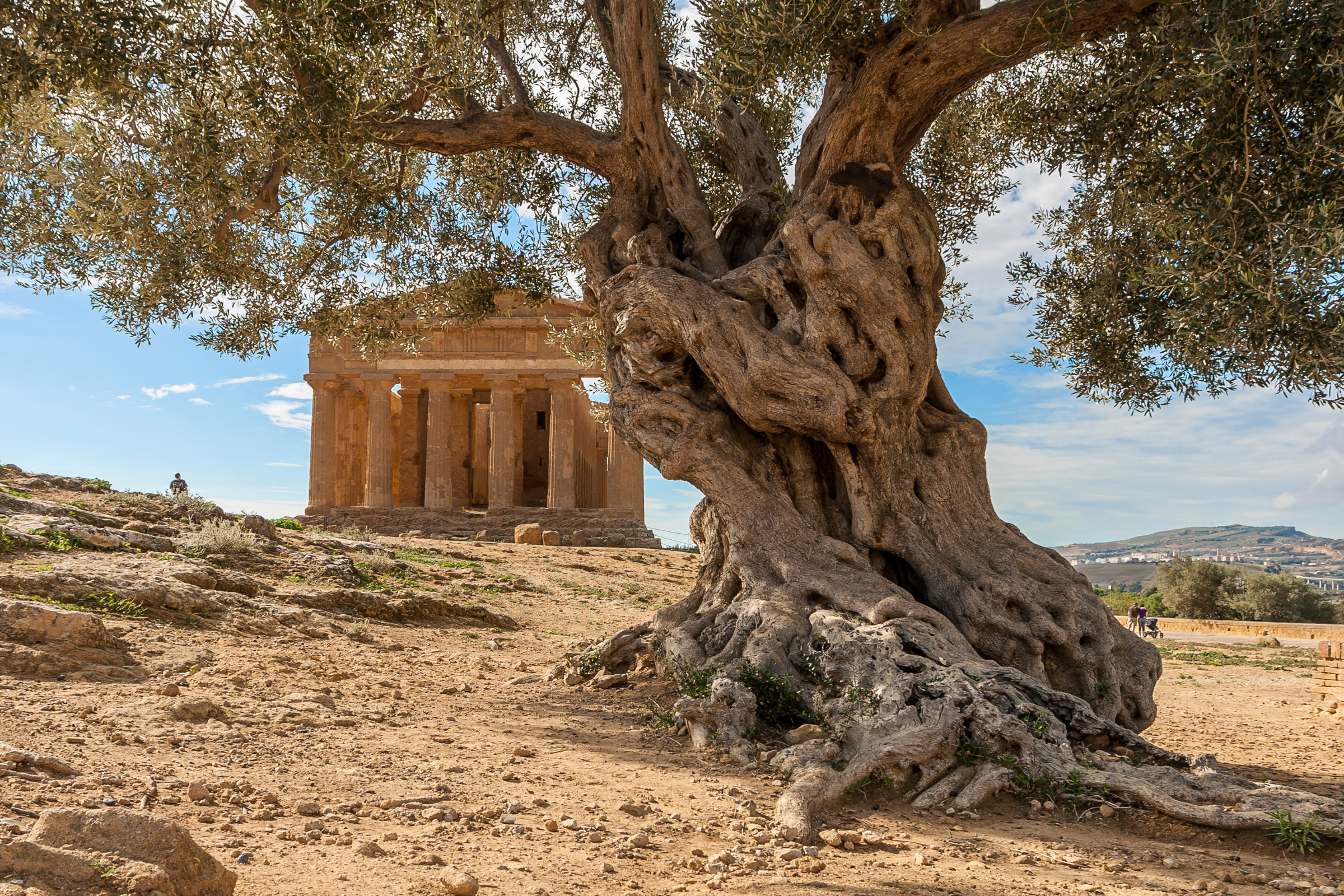 agrigento (3).webp
